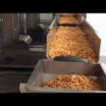自動ビニール袋米豆種子包装機械